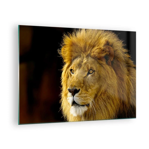 Glastavla - Bild på glas - Porträtt av ett majestätiskt lejon mot en mörk bakgrund - 70x50cm - Kungens porträtt - Modern väggdekoration för vardagsrum och sovrum ARTTOR