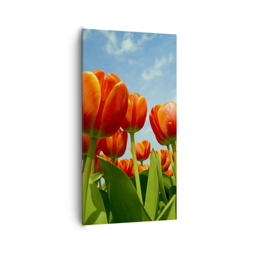 Canvastavla - Bild på duk - Förutom blå himmel behöver vi inget annat i livet - 65x120 cm