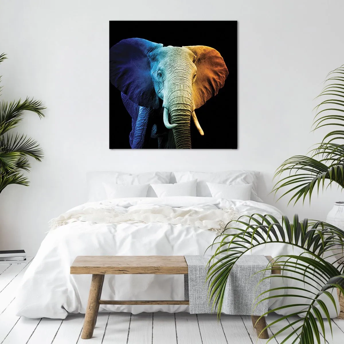 Canvastavla - Bild på duk - Excentriker, ej kuf - 70x70 cm