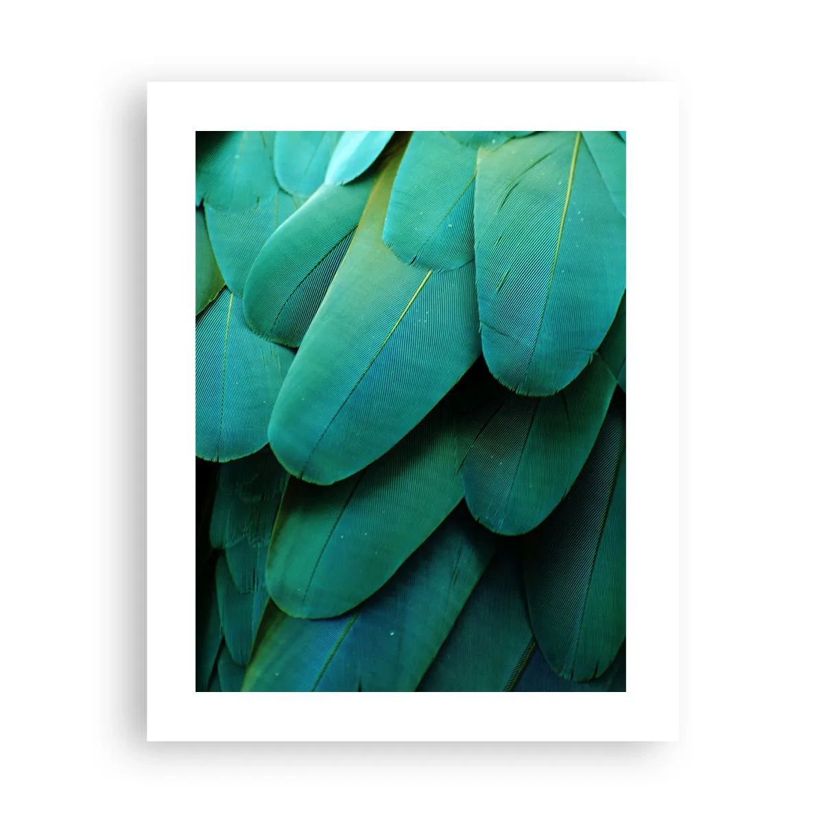 Affisch - Precision av papegojans natur - 40x50 cm