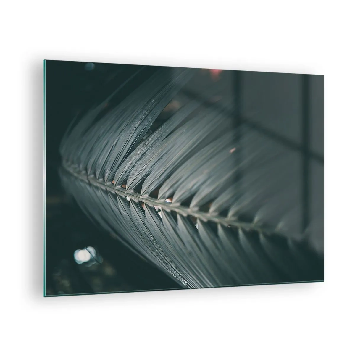 Glastavla - Bild på glas - Närbild av ett mörkgrönt palmblad med ljusreflektion - 70x50cm - Naturens precision - Modern väggdekoration för vardagsrum och sovrum ARTTOR