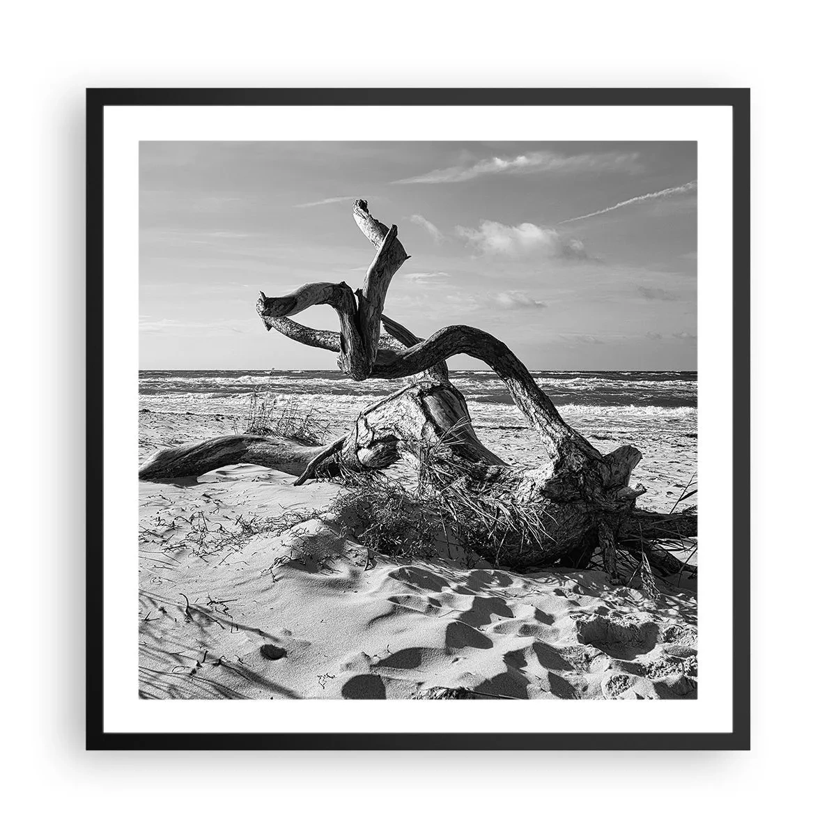 Affisch i svart ram - Havets skulptur - 60x60 cm