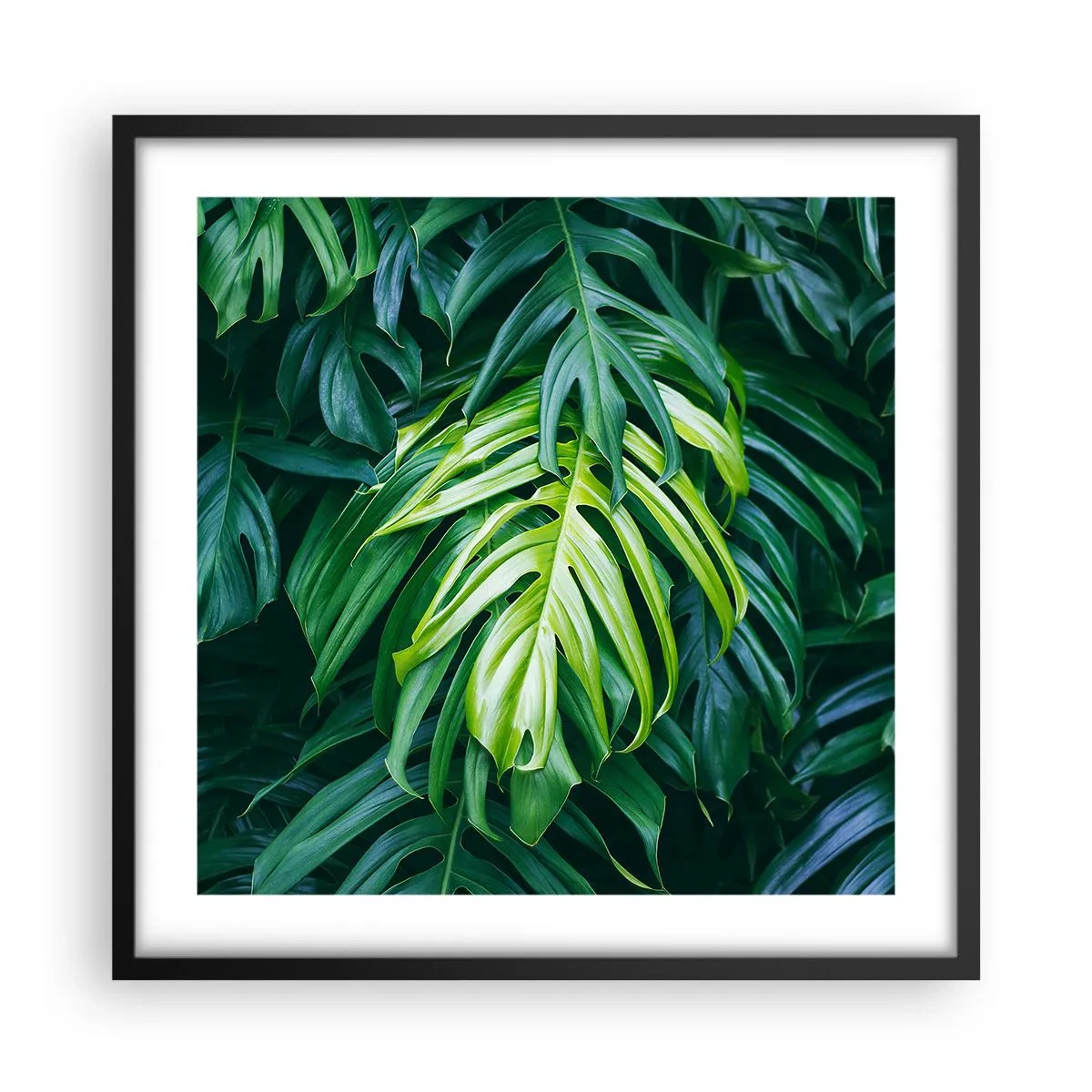 Affisch i svart ram - Doppa sig i fräschheten - 50x50 cm