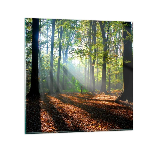 Glastavla - Bild på glas - Sken-och skuggspel - 30x30 cm