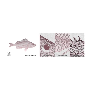Provbit av fototapet Premium Sand - Storögd fisk - Fisk, Under vattnet, Minimalistisk - 100x30 cm