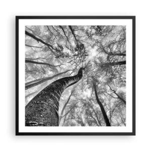 Affisch i svart ram - Kapplöpning mot ljuset - 60x60 cm