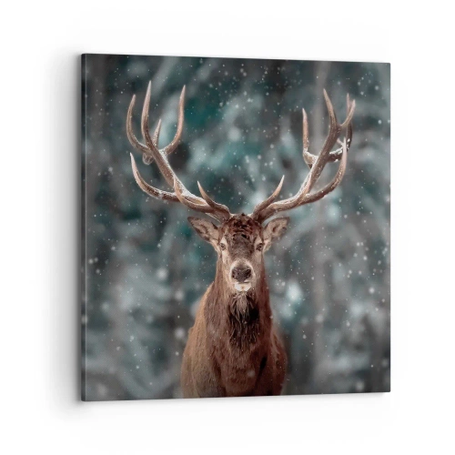 Canvastavla - Bild på duk - Krönt skogens kung - 70x70 cm