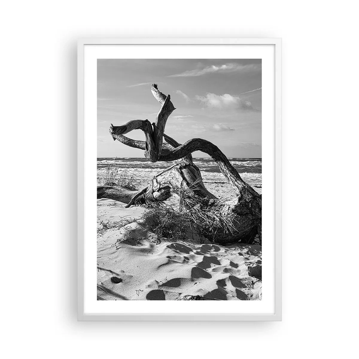 Affisch i vit ram - Havets skulptur - 50x70 cm