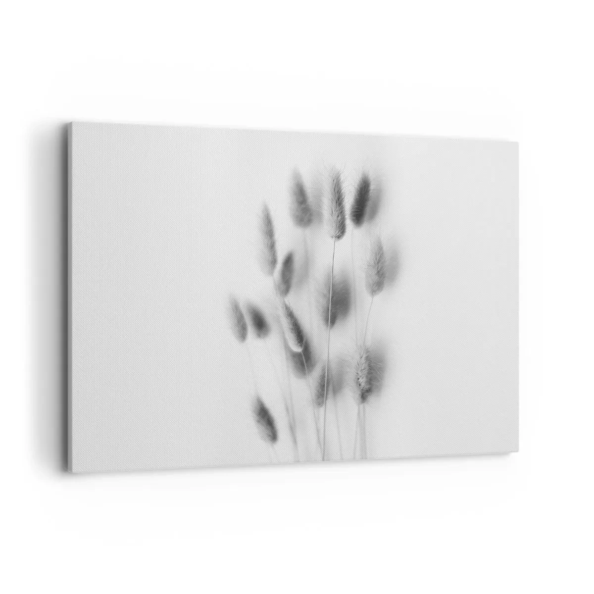 Canvastavla - Bild på duk - Fluffigt gräs - 120x80 cm