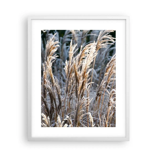 Affisch i vit ram - Frostprydda - 40x50 cm