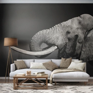 Fototapet Premium Sand - Ja, nu är det bra - Djur, Elefant, Afrika - 100x70 cm