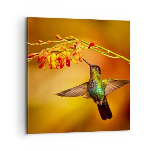Canvastavla - Bild på duk - Ljusbud enligt Mayafolket - 60x60 cm