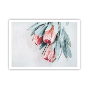 Affisch - Generad av sin skönhet - 100x70 cm