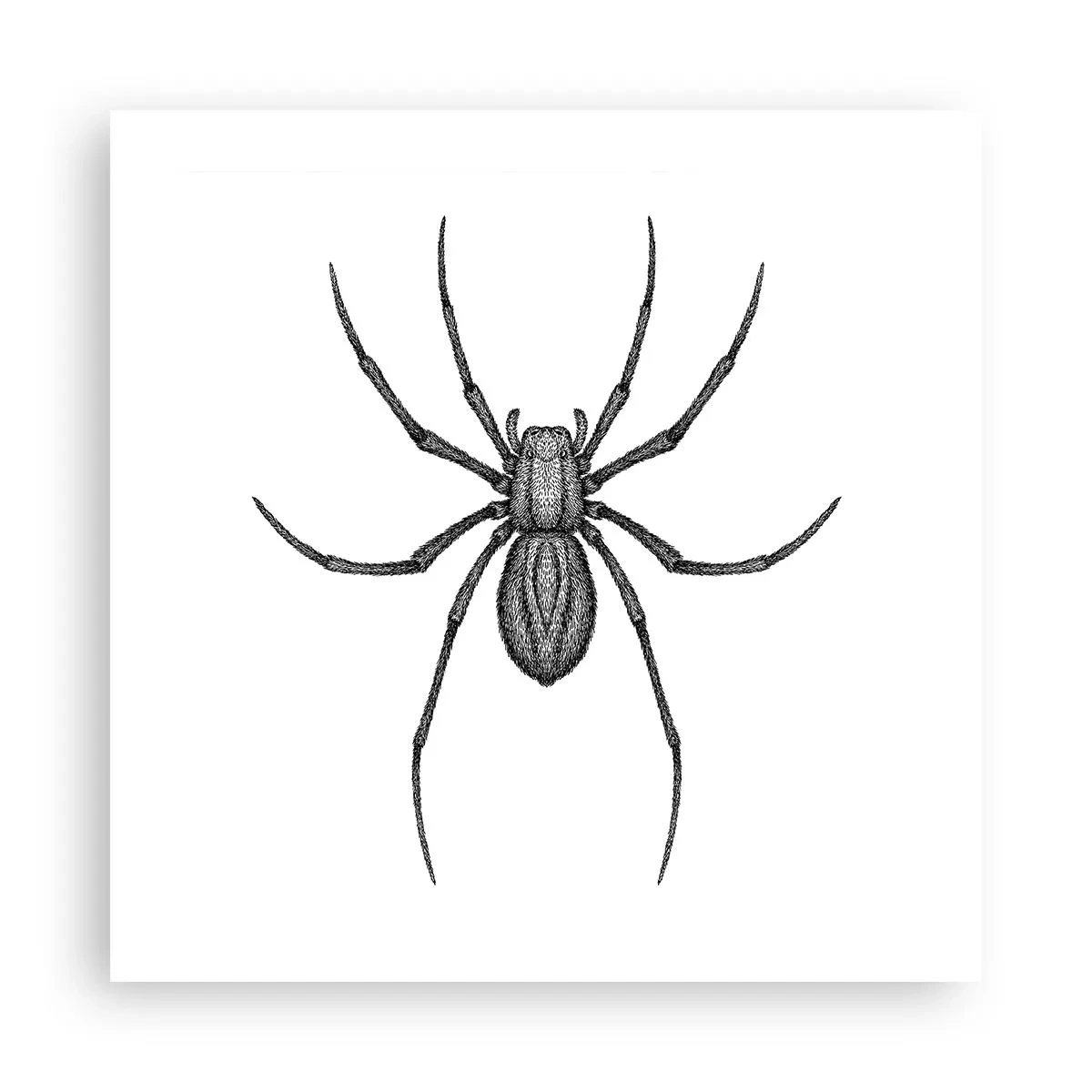 Affisch - Oroväckande precision - 50x50 cm