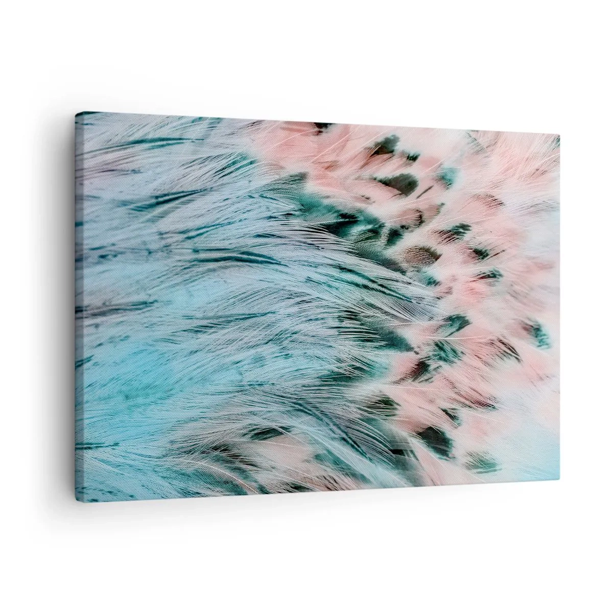 Canvastavla - Bild på duk - Närbild av fjädrar i pastellfärger av safirrosa - 70x50cm - Safir-rosa dun - Modern väggdekoration för vardagsrum och sovrum ARTTOR