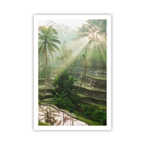 Affisch - Växa upp i solsken - 61x91 cm