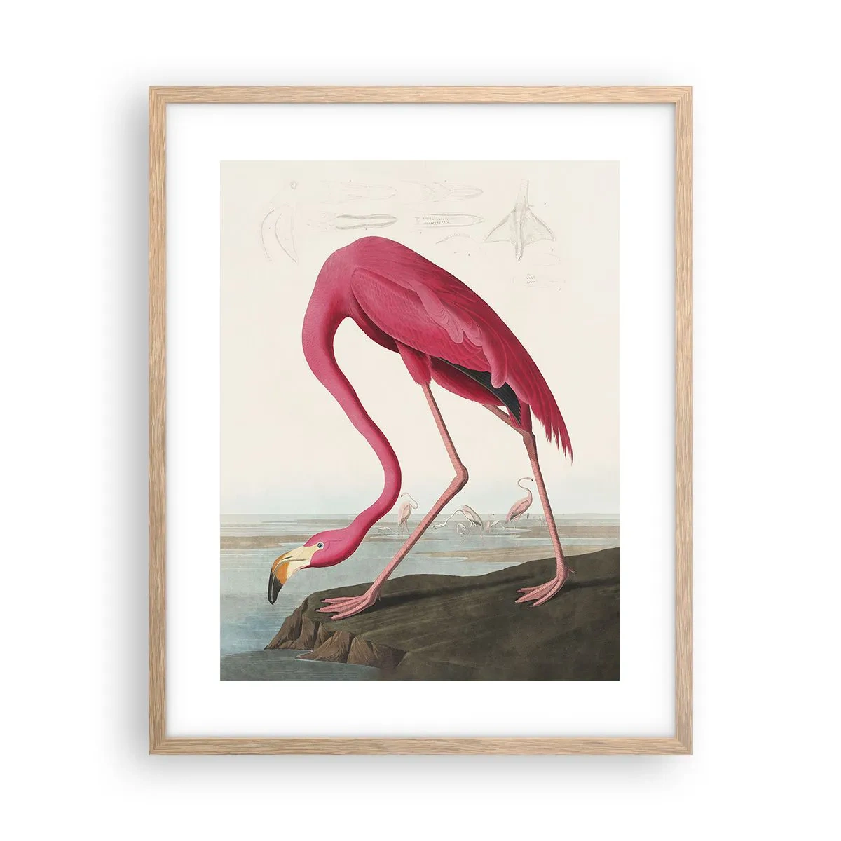 Affisch i ram av ljusek - Underlig varelse - 40x50 cm