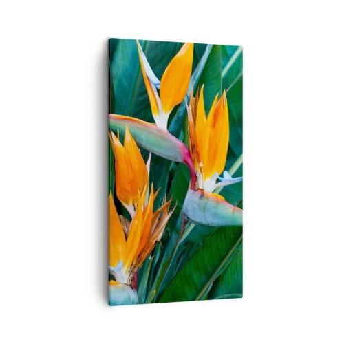 Canvastavla - Bild på duk - Är det en blomma, eller en fågel? - 45x80 cm
