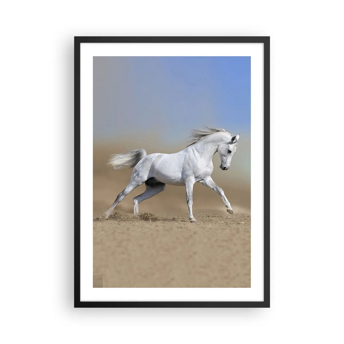 Affisch i svart ram - En vit häst galopperar mot en ökenbakgrund - 50x70cm - Den vackraste arabiska sagan - Modern väggdekoration för vardagsrum och sovrum ARTTOR