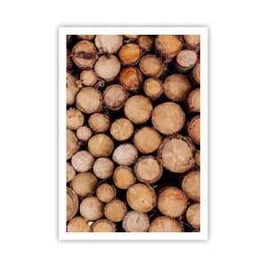 Affisch - Ny början - 70x100 cm