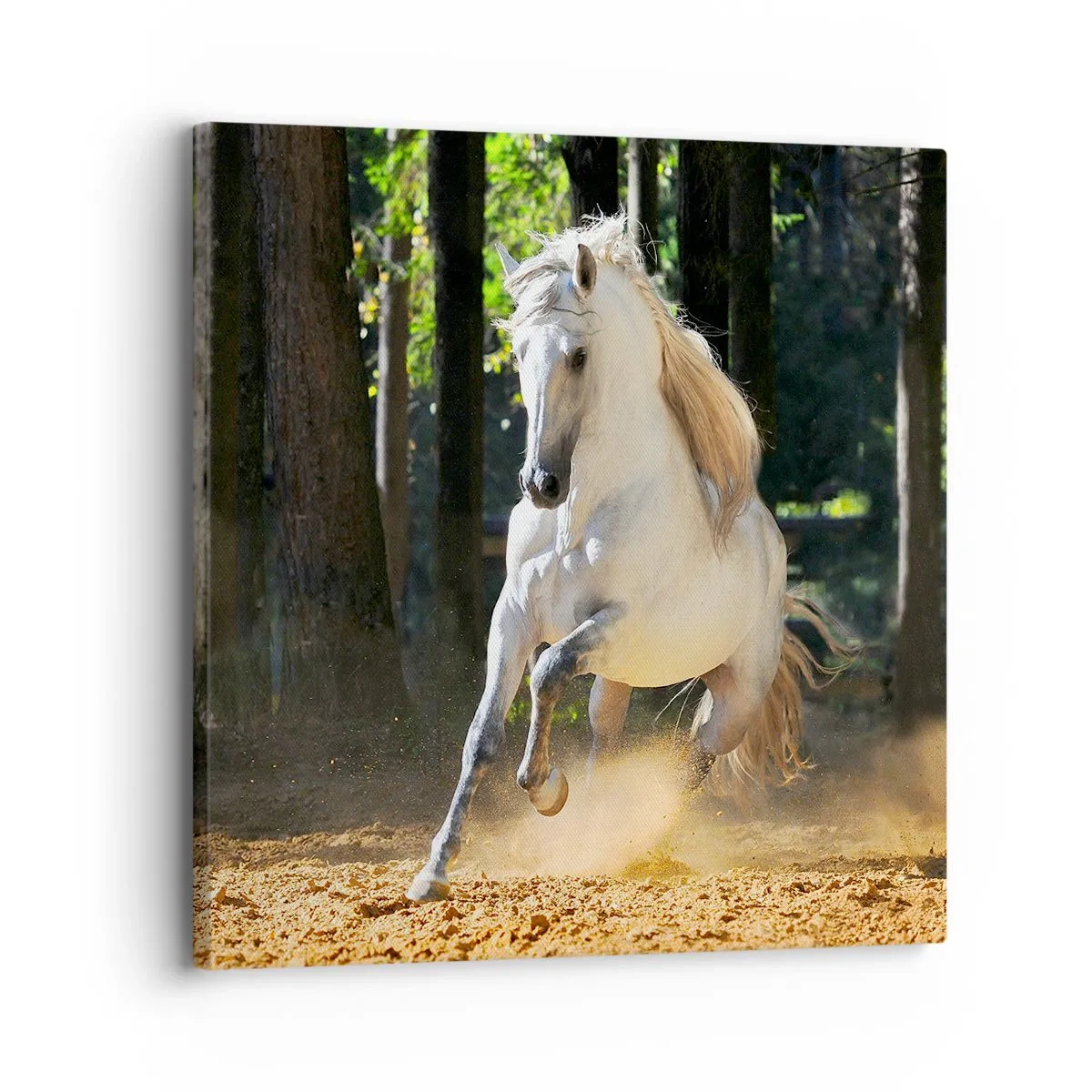 Canvastavla - Bild på duk - Som från en fantasybok - 30x30 cm