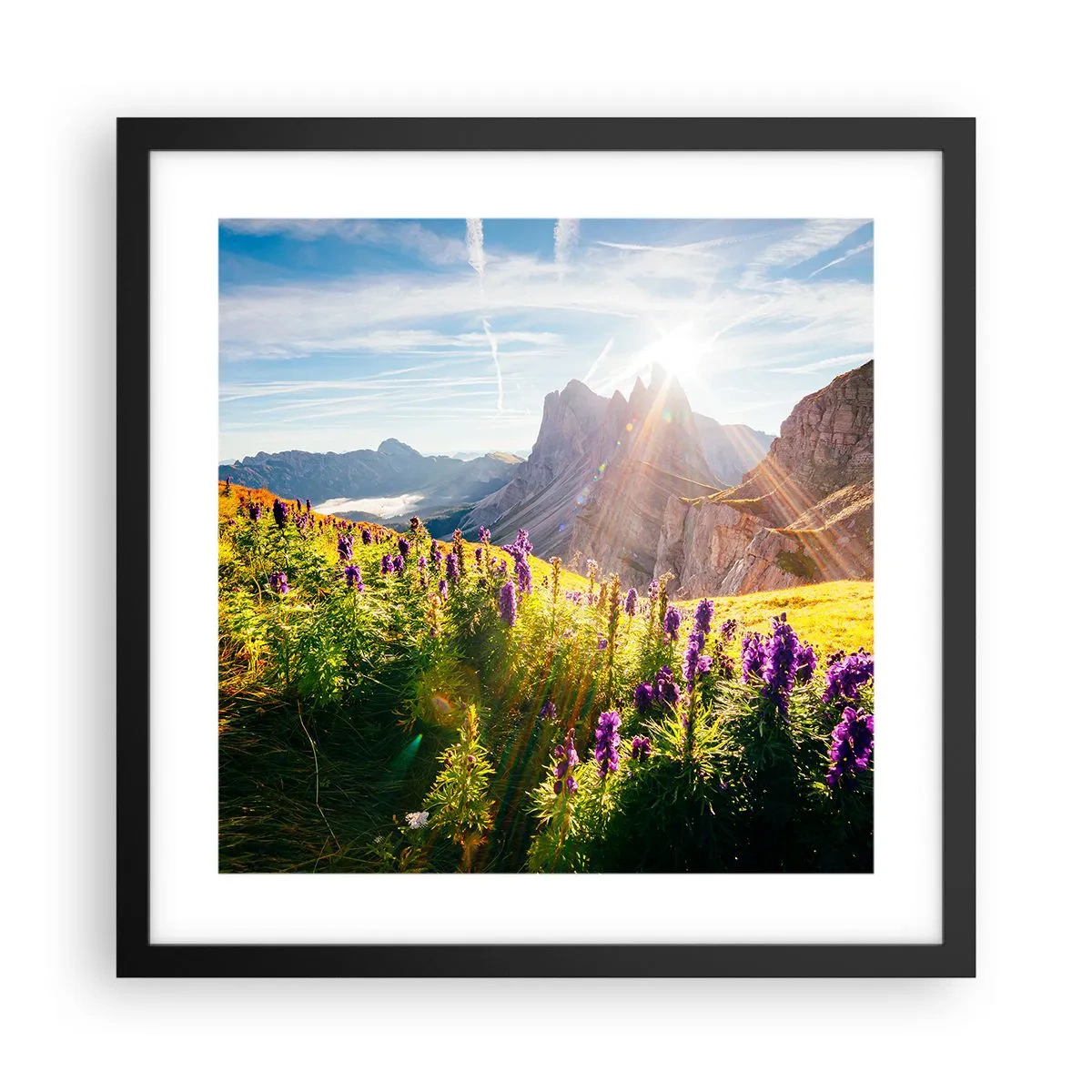 Affisch i svart ram - Örternas hemliga liv - 40x40 cm