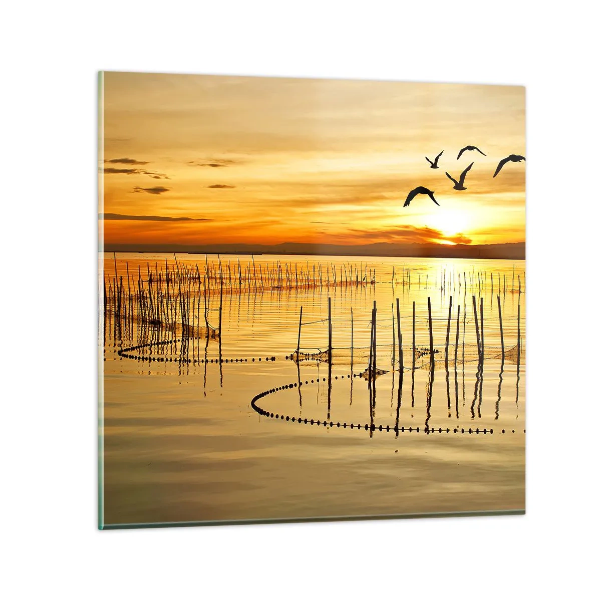 Glastavla - Bild på glas - Fiskevatten - 40x40 cm