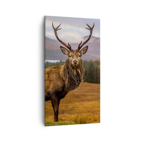 Canvastavla - Bild på duk - Naturens majestät - 45x80 cm