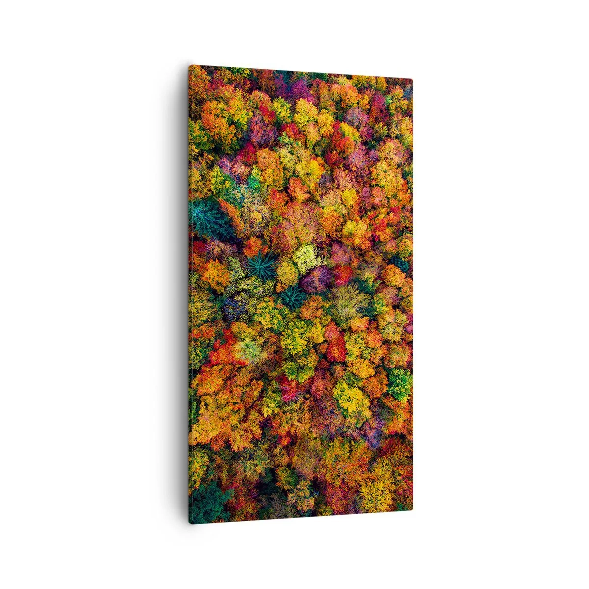 Canvastavla - Bild på duk - Höstträdens bukett - 55x100 cm