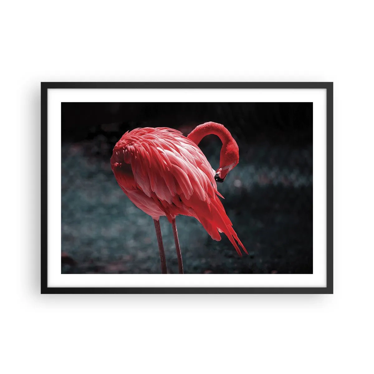 Affisch i svart ram - Djuprött naturpoem - 70x50 cm