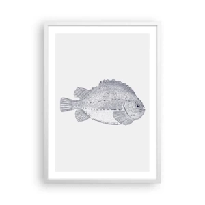 Affisch i vit ram - Till naturforskarens album - 50x70 cm