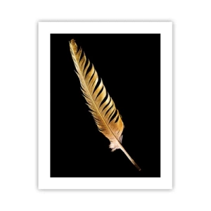 Affisch - Fjäder... - 40x50 cm