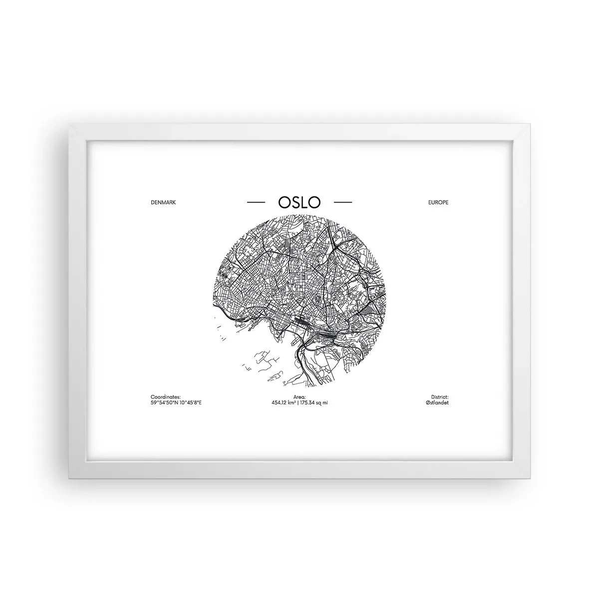 Affisch i vit ram - Oslos anatomi - 40x30 cm
