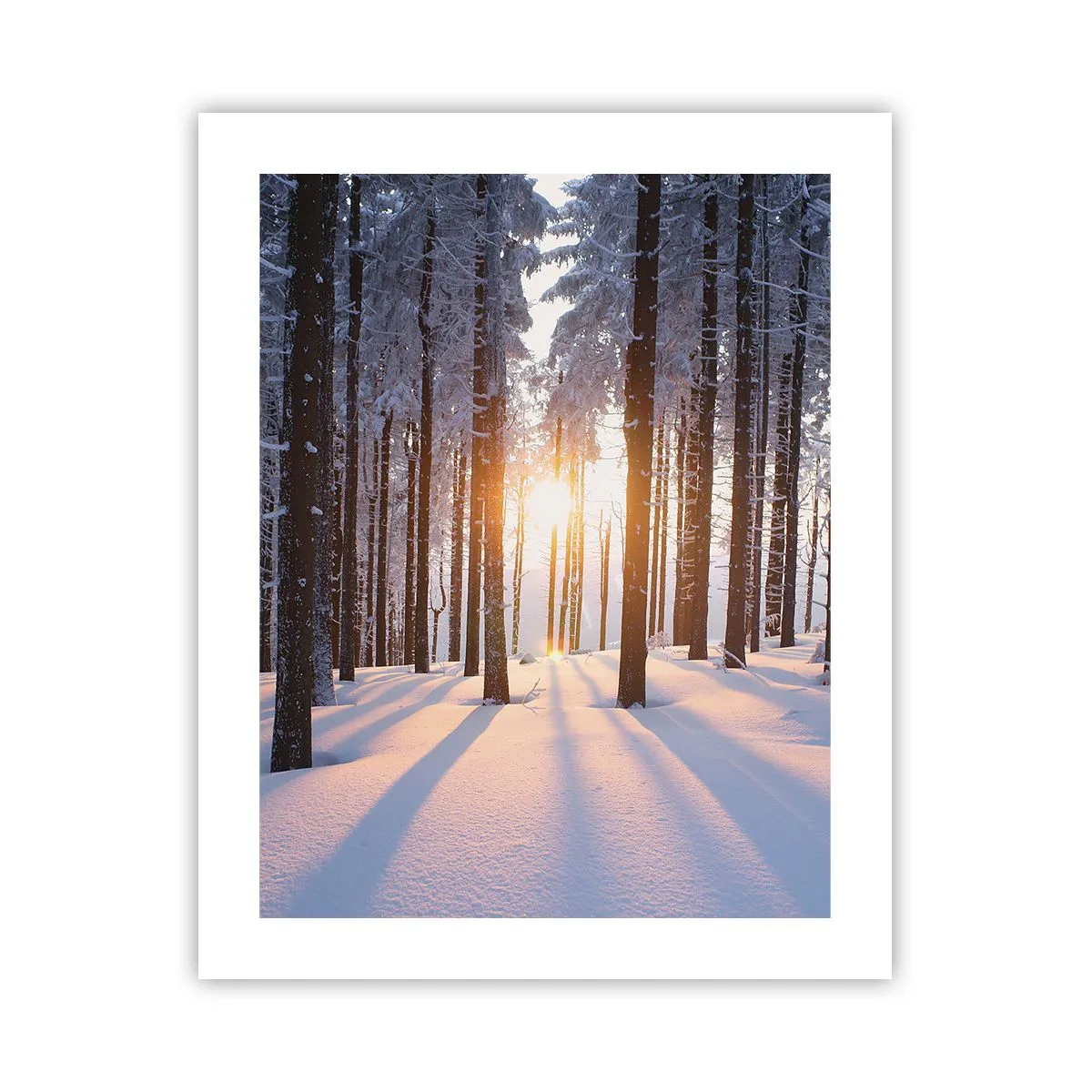 Affisch - Tydligt svart på vitt - 40x50 cm