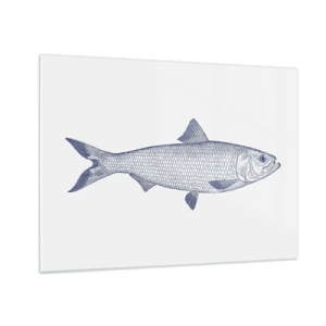 Glastavla - Bild på glas - Skiss av fisk i vintagestil på en ljus bakgrund - 70x50cm - Hälsningar från de nordliga haven - Modern väggdekoration för vardagsrum och sovrum ARTTOR