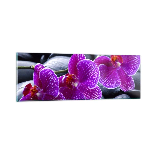 Glastavla - Bild på glas - Stenarna har bleknat av beundran - 90x30 cm