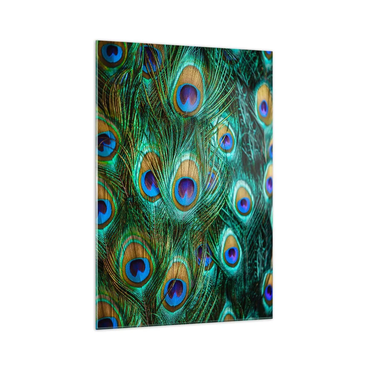 Glastavla - Bild på glas - Påfågels blick - 70x100 cm