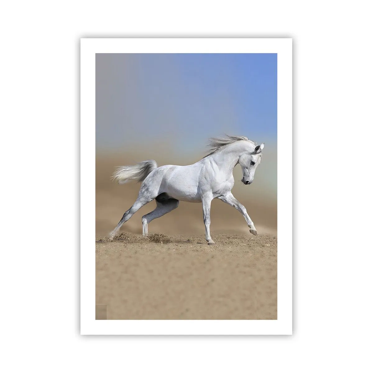 Affisch - Den vackraste arabiska sagan - 50x70 cm