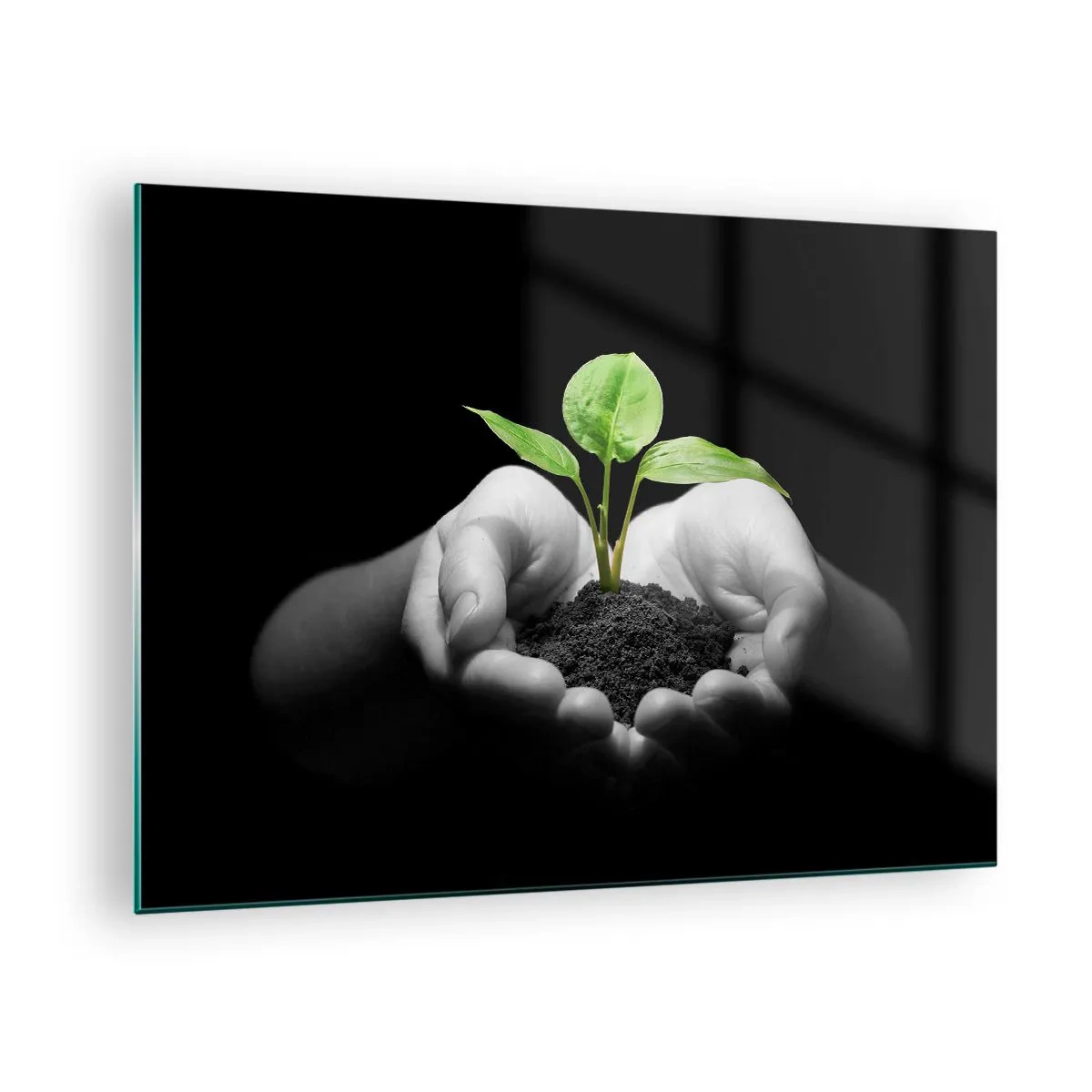 Glastavla - Bild på glas - En ung planta i händerna mot en svart bakgrund - 70x50cm - Jag älskar naturen och skyddar den - Modern väggdekoration för vardagsrum och sovrum ARTTOR