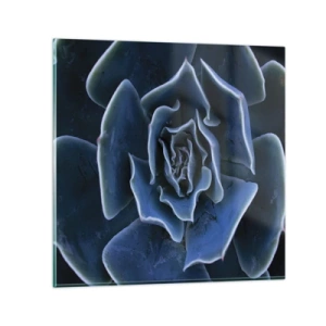 Glastavla - Bild på glas - Öknens blomma - 70x70 cm