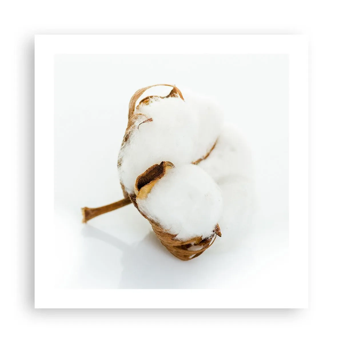 Affisch - Mjuk av naturen - 50x50 cm