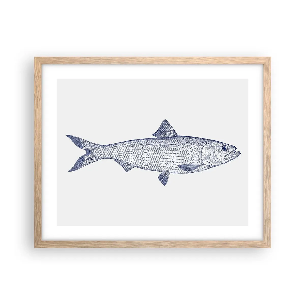 Affisch i ram av ljusek - Hälsningar från de nordliga haven - 50x40 cm