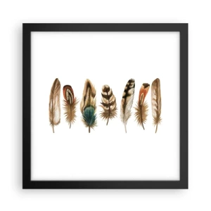 Affisch i svart ram - Fjädervariation - 30x30 cm