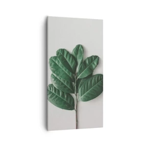 Canvastavla - Bild på duk - Själva naturens bild - 55x100 cm