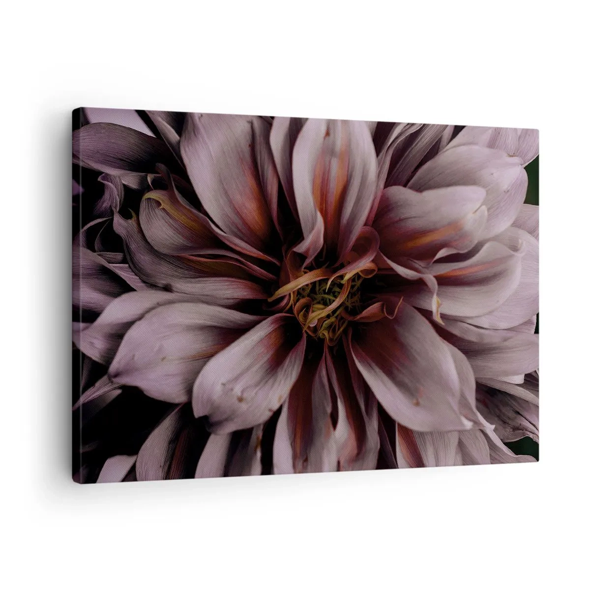 Canvastavla - Bild på duk - Närbilddetalj av en stor blomma i subtila färger - 70x50cm - Blommigt hjärta - Modern väggdekoration för vardagsrum och sovrum ARTTOR
