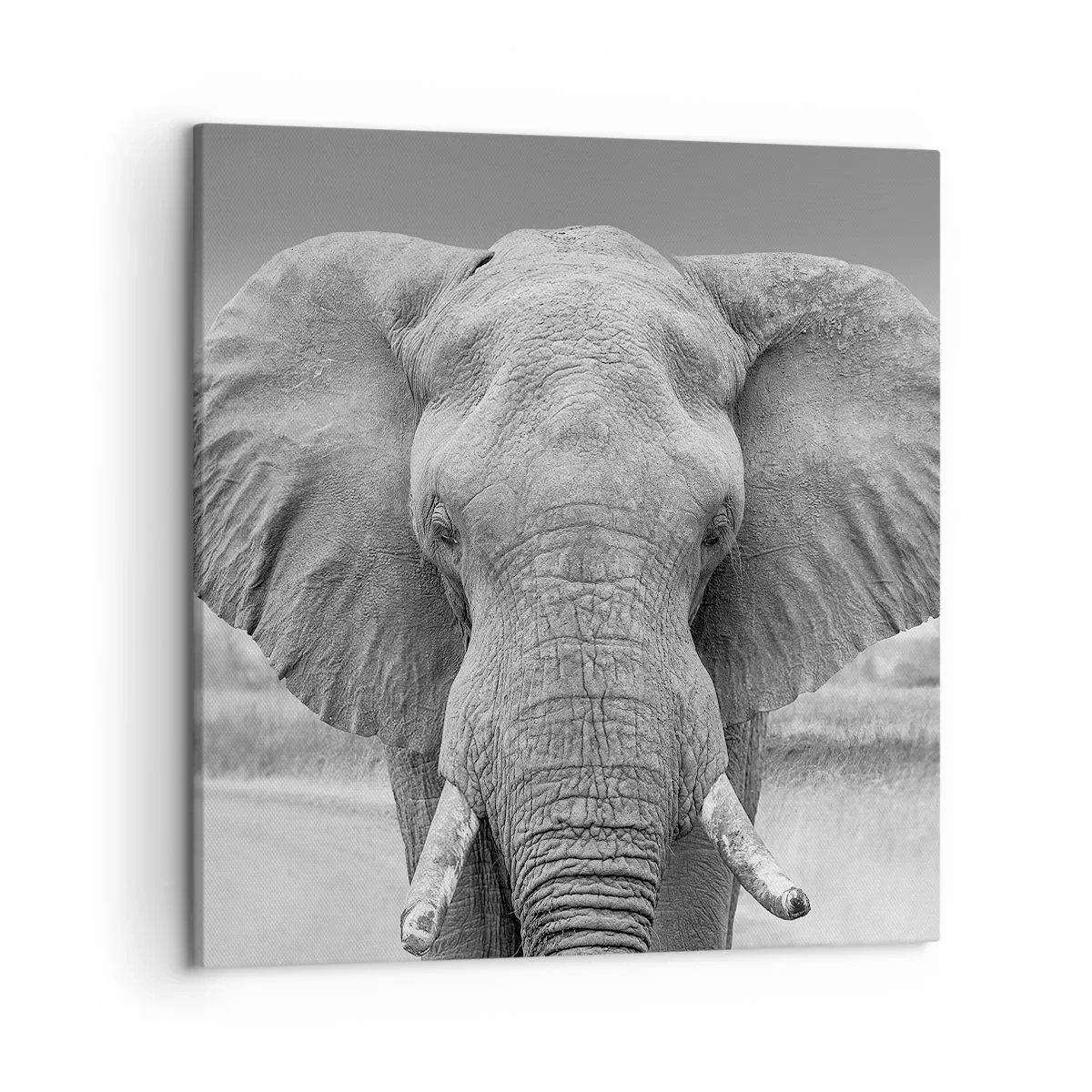 Canvastavla - Bild på duk - Välkommen till min värld - 50x50 cm