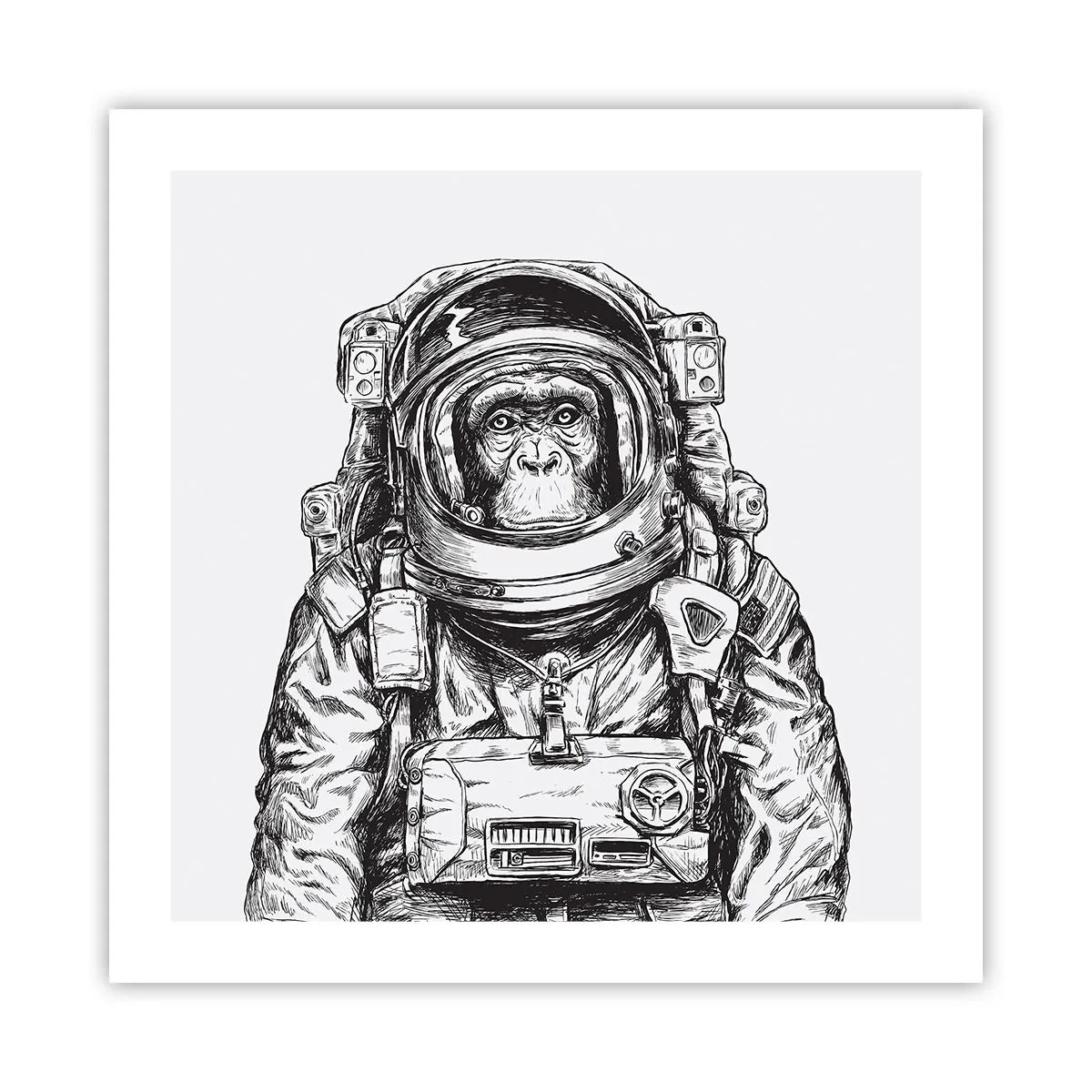 Affisch - Alternativ evolution - 50x50 cm