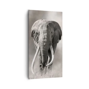 Canvastavla - Bild på duk - Afrikansk patriark - 55x100 cm