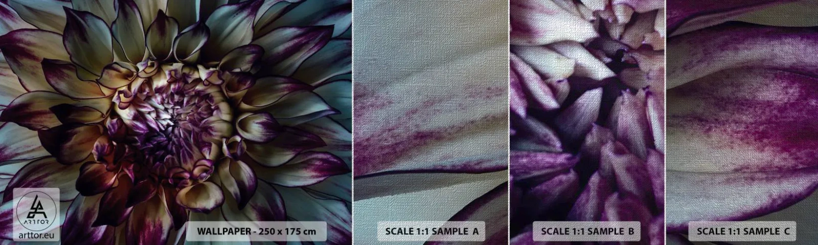 Provbit av fototapet Premium Canvas - Blommande ungdom - Blommor, Dahlia, Blommande blomma - 100x30 cm