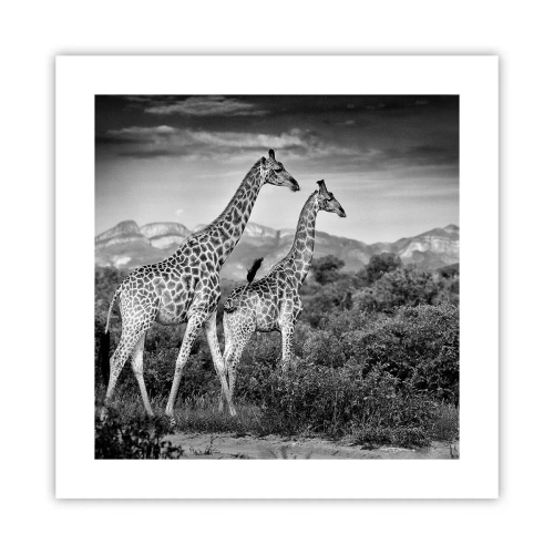 Affisch - Högre klasser i Afrika - 40x40 cm